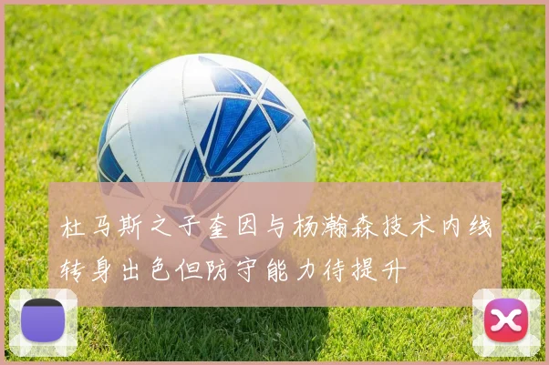 杜马斯之子奎因与杨瀚森技术内线转身出色但防守能力待提升