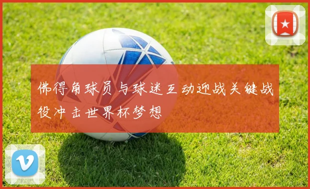 佛得角球员与球迷互动迎战关键战役冲击世界杯梦想