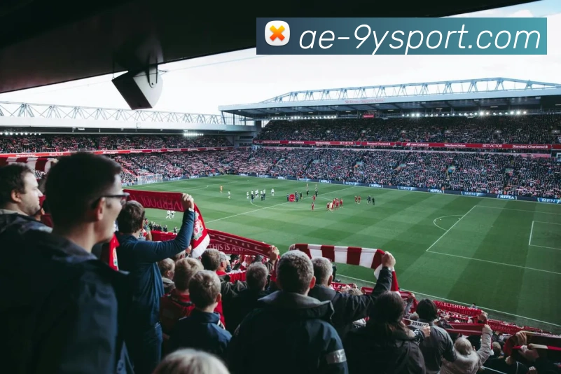 九游足球平台生态图